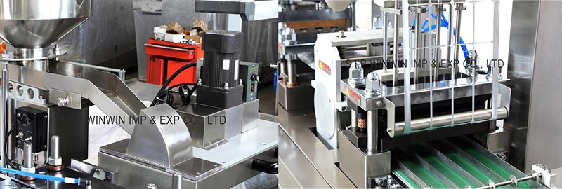 Less Floor Space High Speed Pharmaceutical Alu-PVC Blister Packing Machine Dpp-260h