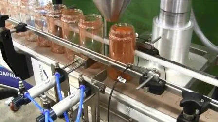 Big Dosage 3 in 1 Powder Filling Packing Machine