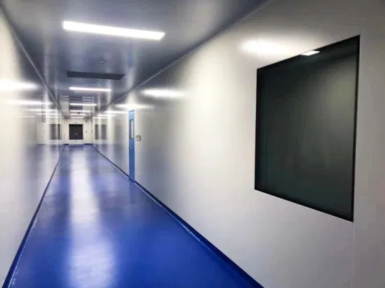 Factory Supply Customized Clean Room Project for Pharmaceuticals and Electronics Clean Room Design and Turnkey Project